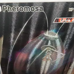 Pokemon Pheromosa Pocket TCG Holo With Texture Read Description - Image 2