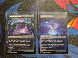 Overgrown Tomb + Hallowed Fountain Lot X 2 Mtg Regular Ex - Image 2