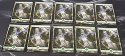 Full Art Forest X10 271 Battle for Zendikar MTG Magic the Gathering - Image 1