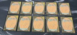 Full Art Forest X10 271 Battle for Zendikar MTG Magic the Gathering - Image 2