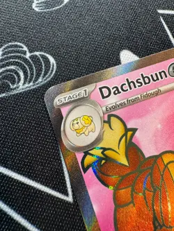 Dachsbun EX 160/142 Pokemon TCG S&V Stellar Crown Holo Ultra Rare English - Image 3