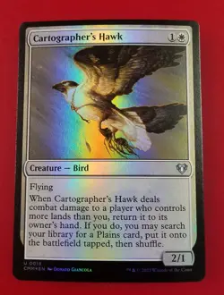 1x Cartographer's Hawk | FOIL | Commander Masters | MTG Magic Cards - Image 1