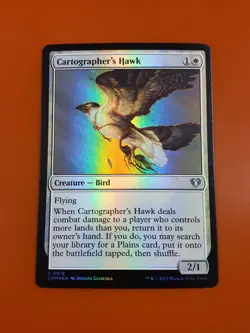 1x Cartographer's Hawk | FOIL | Commander Masters | MTG Magic Cards - Image 3