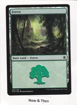 Magic: MTG: Khans of Tarkir: Foil: Forest #269 - Image 1