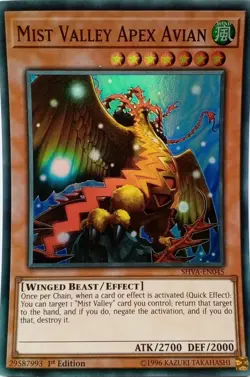 SHVA-EN045 MIST VALLEY APEX AVIAN SUPER RARE 1ST EDITION YuGiOh CARD - Image 1