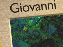 Giovanni - 18/132 - Pokemon Gym Challenge 1st Edition Holo Rare Card NM Card - Image 5
