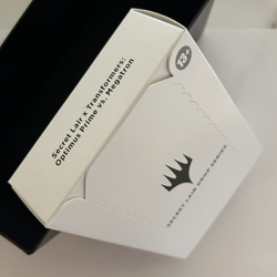 Secret Lair x Transformers: Optimus Prime vs. Megatron MTG - Image 3