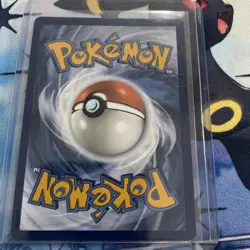 Pelipper - Shiny Holo Rare Pokemon TCG #204/091 SV: Paldean Fates 2024 Mint - Image 2