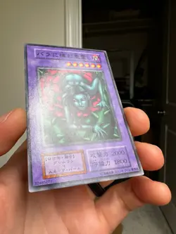 Yu-Gi-Oh! Yugioh Vol.5 1st Edition Rose Spectre of Dunn No Ref 1999 Japan - Image 2