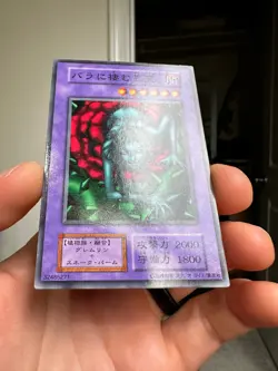 Yu-Gi-Oh! Yugioh Vol.5 1st Edition Rose Spectre of Dunn No Ref 1999 Japan - Image 4