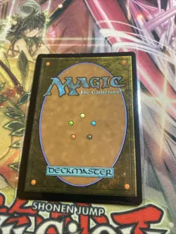 Magic the Gathering - Spider-Man 206 - Multiversal Passage (Borderless)Foil- NM - Image 2