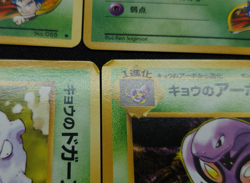 Koga's PokemonTCG Challenge from the Darkness Japanese - 15 card lot - Image 3