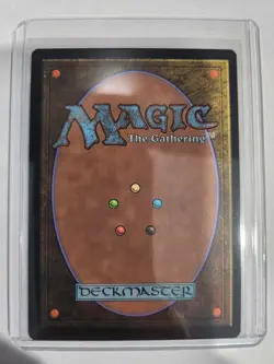 Sword of the Animist 0362 Regular Magic The Gathering Final Fantasy - Image 2