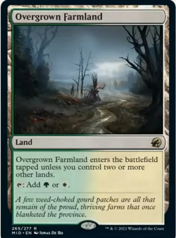 Magic The Gathering MTG OVERGROWN FARMLAND Innistrad: Midnight Hunt NM Near Mint - Image 1