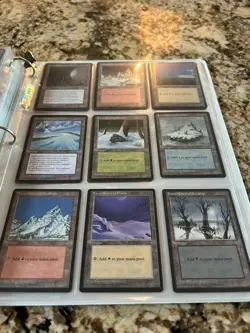 Magic the Gathering Ice Age Complete Set NM - Image 1