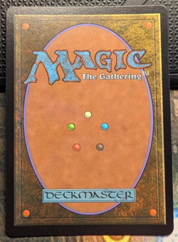 VIVI ORNITIER Chocobo Track Foil - Final Fantasy MTG Magic: the Gathering - Image 3