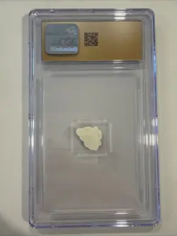 2019 Pokemon Center Band Festival Blaziken Typhlosion Sticker CGC PRISTINE 10 - Image 3