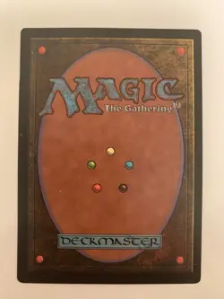 MTG NM Forsaken Wastes Mirage Free Shipping In The US with Tracking - Image 2