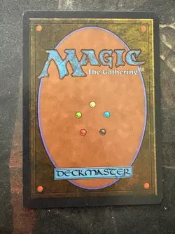 *** ARABIAN NIGHTS Erg Raiders (Light) *** NM-Mint Beauty! - Magic MtG - Image 2