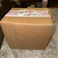 Pokemon ME02 Phantasmal Flames Checklane Blister Case 24ct Dollar Tree SEALED - Image 3