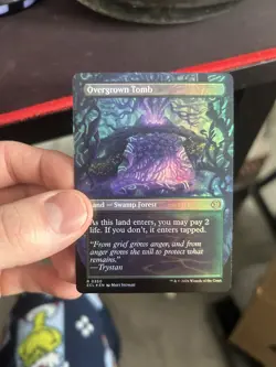 Overgrown Tomb (Borderless) Lorwyn Eclipsed Foil - Image 2