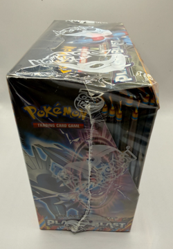 Pokemon TCG Black & White Plasma Blast Booster Display - FACTORY SEALED - Image 4