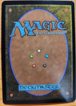 MTG - 2007 - Lorwyn - Scion of Oona - Foil - Unplayed - Image 2
