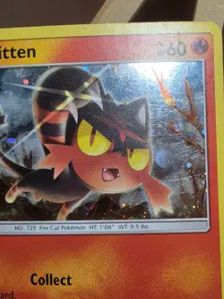 HP/DMG Pokemon TCG Litten SM Black Star Promo SM08 Promo - Image 5