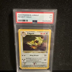 PSA 5🔥Pidgeot 8/64 1999 Jungle Holo Rare Pokemon Card - Image 1