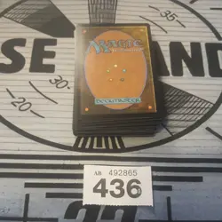 Wilds Of Eldraine MTG Bundle. Magic The Gathering WOE Lot (436) - Image 3