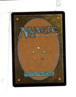 MTG SkeenAB Archivist of Oghma BORDERLESS from Commander Legends 2. NM. - Image 2