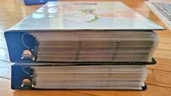 Pokemon Binder Lot of 2 - Over 2500 Cards !! SEND ME AN OFFER ON THESE !! - Image 2
