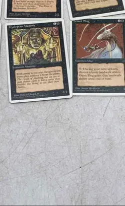 Bog Wraith Balduvian Barbarians Mountain & More Magic The Gathering Cards Lot - Image 4