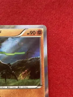 pokemon card Zygarde No.252/XY-P PROMO Japanese - Image 4