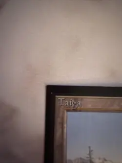 Taiga International Edition Revised Novelty PR0XY - Image 2