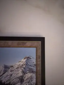 Taiga International Edition Revised Novelty PR0XY - Image 3