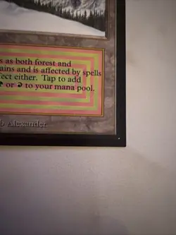 Taiga International Edition Revised Novelty PR0XY - Image 4