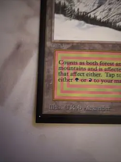 Taiga International Edition Revised Novelty PR0XY - Image 5