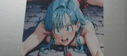 Dragon Ball Bulma Waifu Card - Image 1