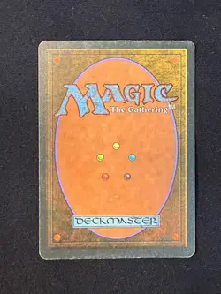 MTG - Primal Order - Homelands - 1x LP (Magic: The Gathering) - Image 2