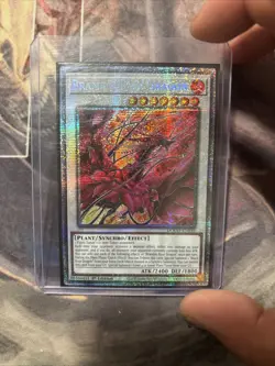 Yu-Gi-Oh! TCG Bramble Rose Dragon DOOD-EN039 1st Edition STARLIGHT RARE - Image 1