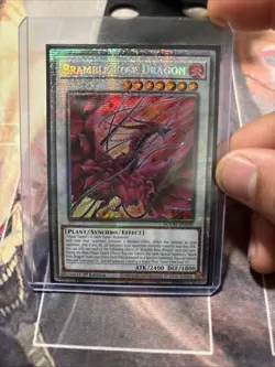 Yu-Gi-Oh! TCG Bramble Rose Dragon DOOD-EN039 1st Edition STARLIGHT RARE - Image 3