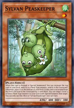 Sylvan Peaskeeper - LVAL-EN015 Rare | Yu-Gi-Oh! Card - Image 1