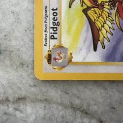 Pidgeot 24/64 - Jungle Set - Rare Non-Holo Pokemon Card - LP WOTC - Image 3