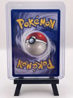 Squirtle 063/102 Base Set (Shadowless) Regular NM Pokemon - Vintage - Image 2