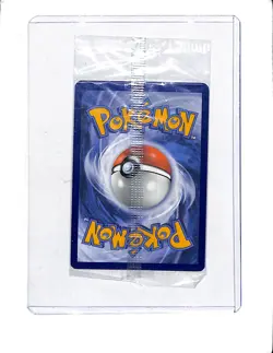 2024 Pokemon Scarlet & Violet Pikachu Sealed Pack Black Star Promo BSP #088 (a) - Image 2