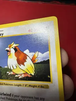 Pidgey 57/102 Shadowless 1st Edition Base Set Pokemon Card NM - Image 4