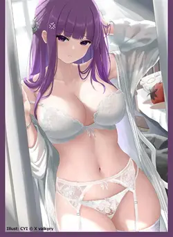 Frieren: Beyond Journey's End Fern Doujin Card Sleeve Protector japan - Image 1