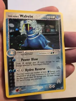 Pokemon TCG Team Aqua's Walrein EX Team Magma Vs Team Aqua 6/95 Holo Rare LP - Image 2