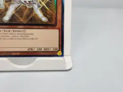 Ryko, Lightsworn Hunter RA02-EN003 Prismatic Collector Rare 1st Edition Yugioh - Image 5